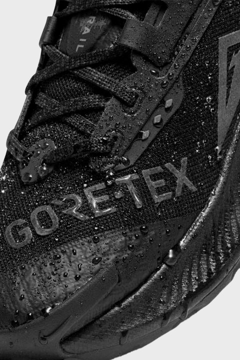 NIKE TRAIL - Nike Pegasus Trail 3 GORE-TEX - BLACK
