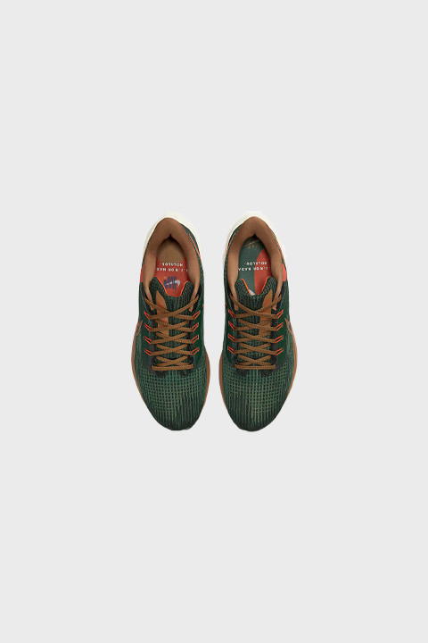 Nike - Air Zoom pegasus 39 A.I.R. Hola Lou - Gorge Green Team Orange Phantom Dark Beer